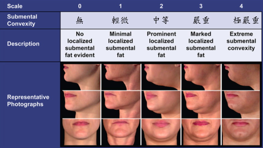  雙下巴（頦下脂肪）嚴重度分級 翻譯自美國皮膚科學會期刊